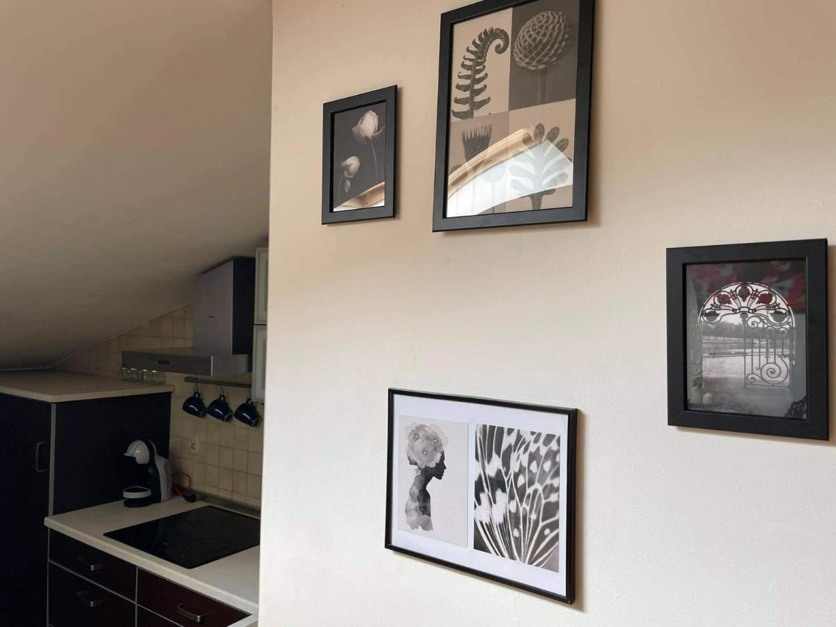 Apartament Studio Наленчув Экстерьер фото